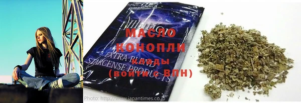 хмурый Каменка