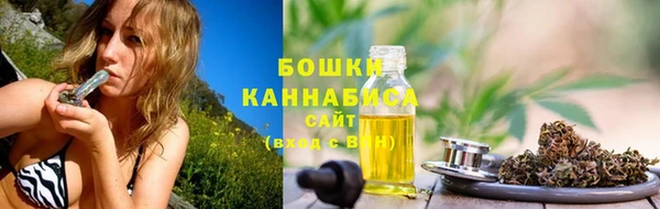 хмурый Каменка