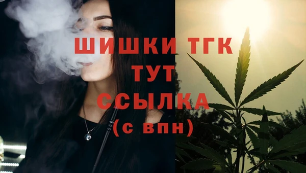 хмурый Каменка