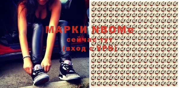 хмурый Каменка