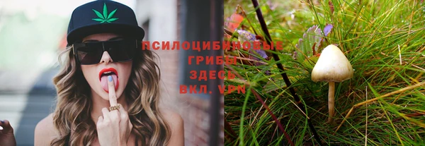 амфетамин Каменногорск