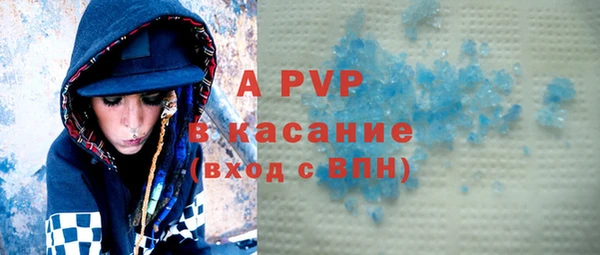 хмурый Каменка